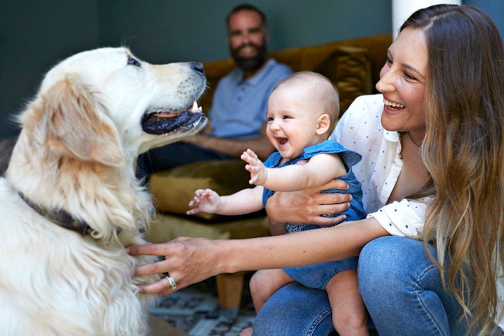 How to Safely Introduce Your Newborn to Your Dog - Sleepybelly
